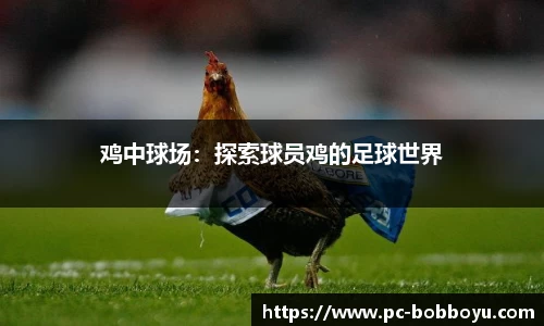 BOB博鱼·体育官方网站-BOYUSPORTS
